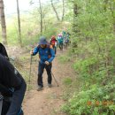 청운목장 | 한국의 산하, BAC, 월간 산이 지정한 한국의 100대 명산인 황매산(인증) 등산 후기 (2017. 05. 02.)