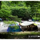 25회캠핑 : 6/5~6일 남이 자연휴양림 3 야영장^^ 이미지