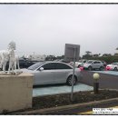 제주폴리아트센터 이미지