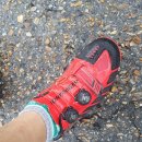 적토마 짐 이미지