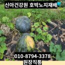 태백건강원 - 영주시 소천로 50 | 태백건강원