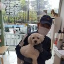 이규보로 피플워치