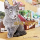 브라운동물병원 이미지