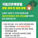 교래자연휴양림야영장 이미지