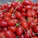 검산농장 이미지