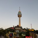 뺑드프랑스 대구이월드점 | 대구 황화코스모스 명소 이월드 펌킨페스타