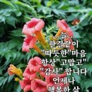 대소청과 | 事大交隣(사대교린)