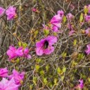 가현산약수터 이미지