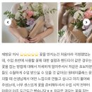 플로리스트(취미반) 이미지