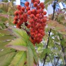 독립자동차정비공장 이미지