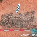 현대사슴목장 | 한민족은 채식주의자였을까? 무덤 속 유물부터 현대의 삼겹살까지, 육식의 역사를 추적하다