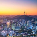 서울행정사 이미지