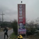 포항블루베리농원 이미지