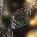크리스퍼 카스나인(CRISPR-Cas9)