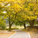 정촌농장 이미지