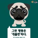 행동 이미지