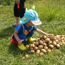 보절면 사촌마을 이미지