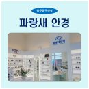 파랑새안경 이미지