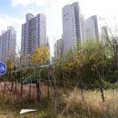 현대아파트(1718) 이미지