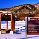 여주-0911 Daum카페
