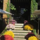 감고당길 이미지