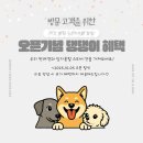 깔끔하개