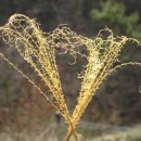 옥천목장 이미지