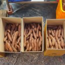 유리농장(비봉) 이미지