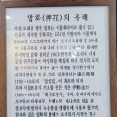 꽃과사는여인 이미지