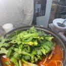 회세상오징어나라