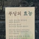 푸딩그루 이미지