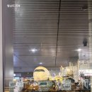 864 | 비엣젯항공 VJ864 탑승 후기 | 호치민→인천 비엣젯 첫탑승 솔직리뷰