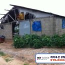 강화목장 이미지