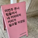 (주)서진캠 | 종강 전 중간 체크..