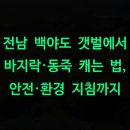 한국온천지하수탐사개발원 | 전남 백야도 갯벌에서 바지락·동죽 캐는 법, 안전·환경 지침까지
