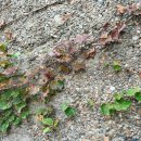 원만사 유치원 이미지