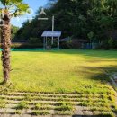 텐빌멍하우스 이미지