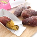 땅끝햇살찬 영농조합법인 이미지