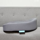 바른자세의 과학연구원 이미지