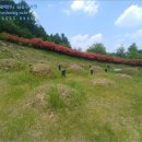 산대보건진료소 이미지