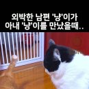 또, 외박할거냥 이미지
