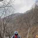 대전조돈길 이미지