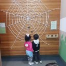 생태숲학습관 1층 이미지