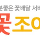꽃조아 이미지