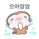 블랑제리 유기농 밀가루
