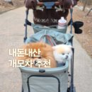 빅펫 | 개모차추천 낫쏘빅 아로아 플러스 펫유모차 후기, 강아지 산책이 훨씬 편해졌어요