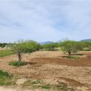 낙동강관리본부 이미지