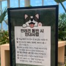 전망대매화농원