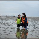 마시안갯벌체험장 이미지