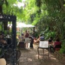 포레스트약국 이미지